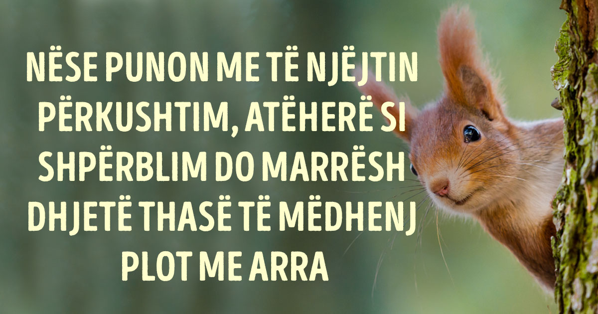Një fabul që duhet t’ia kujtojmë vetes çdo ditë kur kthehemi nga puna…