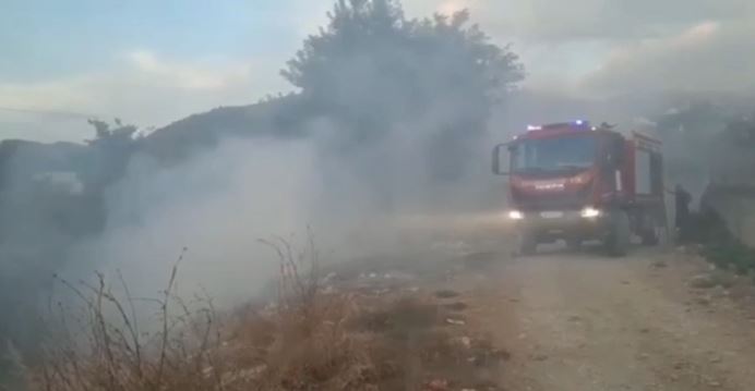VIDEO/ Flakët përfshijnë sipërfaqen masive me ullinj në Berat, zjarrfikësit dyshojnë për zjarrvënie të qëllimshme