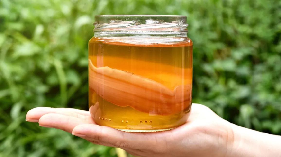 Keni degjuar per “Kombucha-n”?