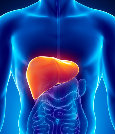 Hepatiti B…Disa trajtime natyrale që duhet të dini