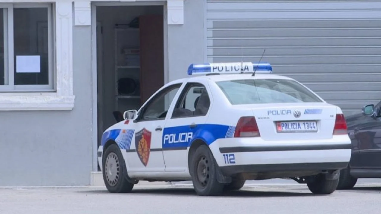 Vendoste muzikë të lartë, nën hetim menaxheri i një lokali në Tiranë 5 tirane policia 1 1024x576 770x433 1