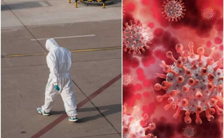 Gjysma e botës, nën kërcënimin e një virusi të rrezikshëm