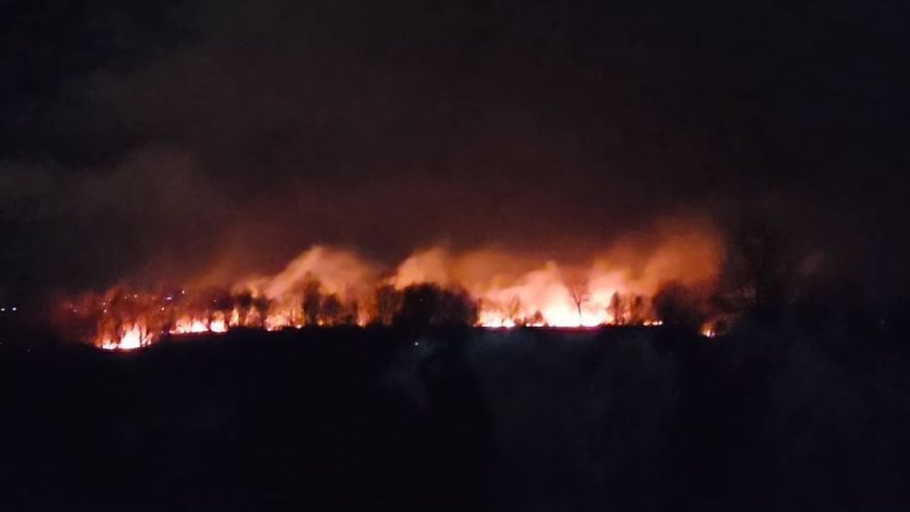 Zjarr i madh në Fier, rrezikohen disa banesa/ Në vendngjarje ndodhen tre mjete zjarrfikëse 14 zjarr sd 1