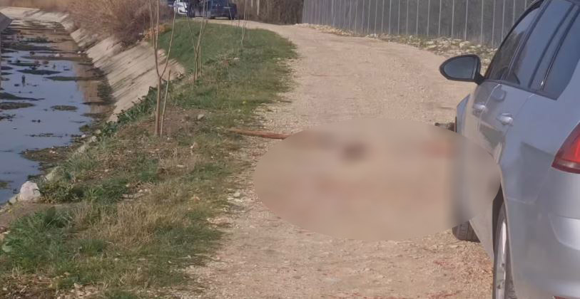 lezhe-plagosje-vellezer.jpg