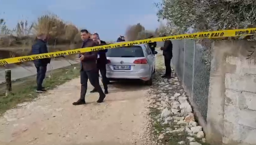 lushnje-1.png