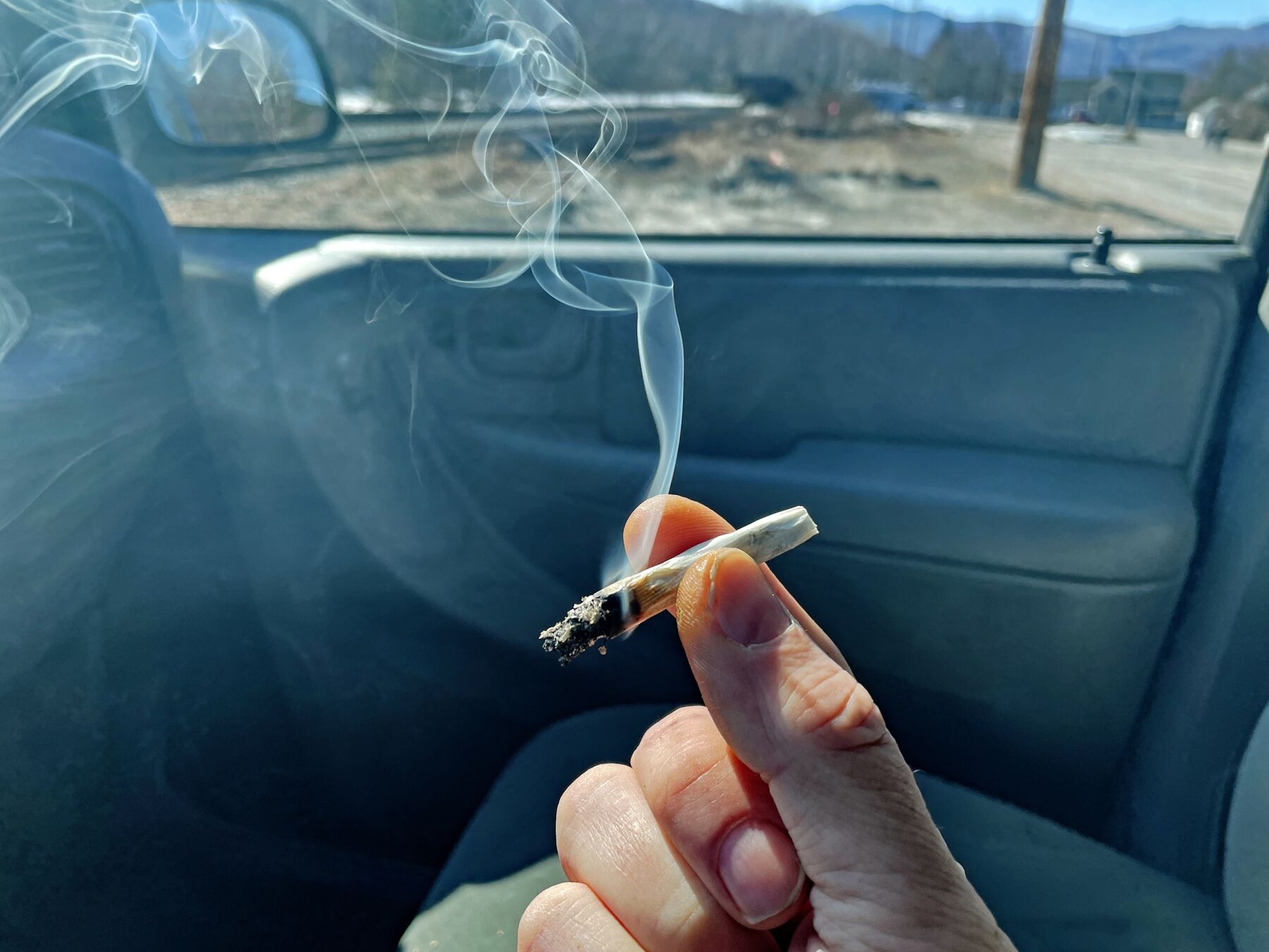Bloomberg: Pasojat e legalizimit të marijuanës në timon