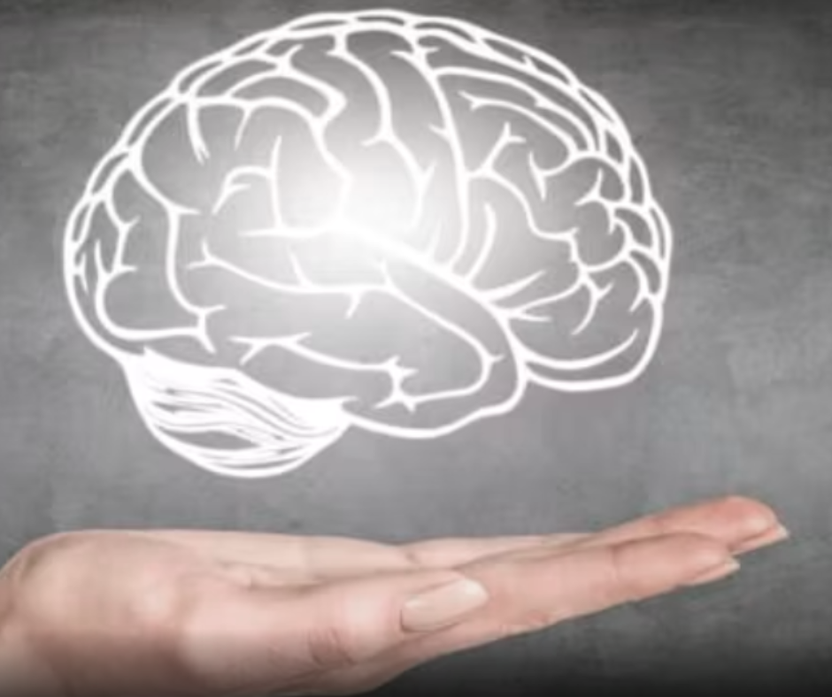Si ndodh perceptimi ynë? Kështu e “sheh” truri botën