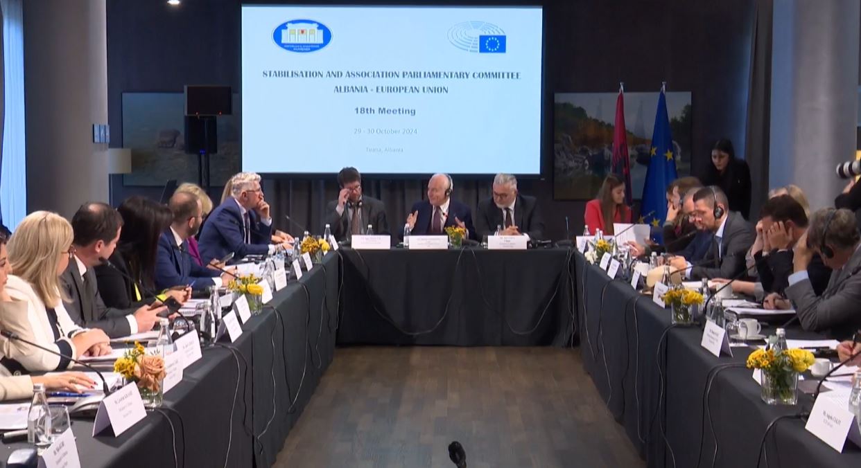 Komiteti BE-Shqipëri/ Grupi i PD: Me keqardhje maxhoranca refuzoi me votë të gjitha amendamentet tona! Vendosën barrikadat e përçarjes kundër integrimit