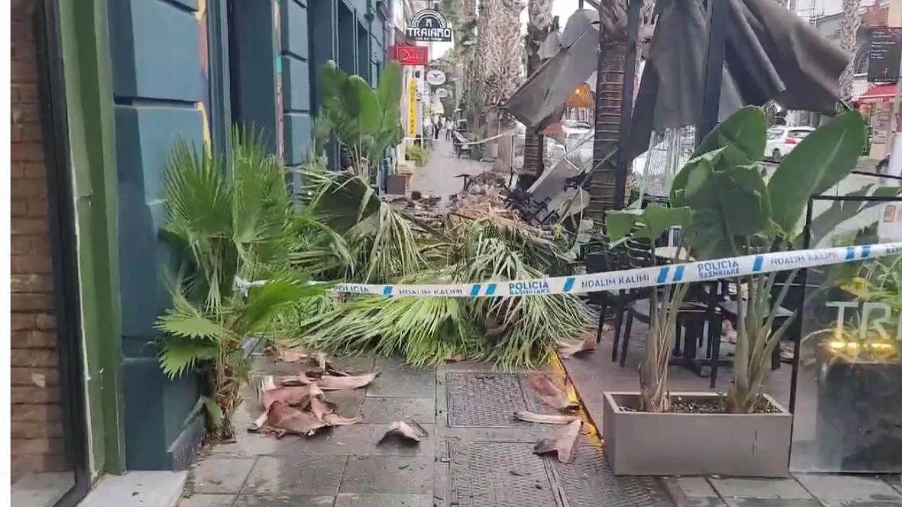 Moti i keq shkakton probleme në Durrës! Palma bie në mes të lokalit 9 1111111111111111111111111111 sd
