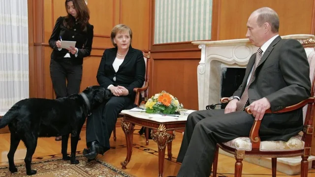 Ish-kancelarja gjermane i kishte fobi qentë, Putin reagon pas rrëfimit të Merkel: Po ta dija, do ta... 9 640 0 1732809578xputin merkel dog 573