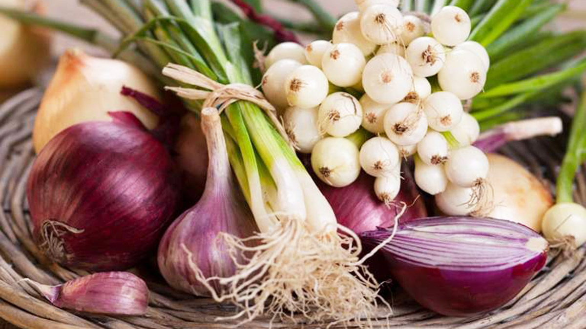 Qepë, hudhra, uthull molle, si të përgatisni antibiotikun natyral