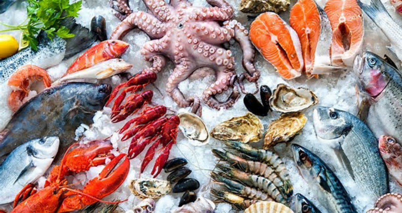 Këta janë peshqit me më shumë omega 3 pa diskutim, dhe nuk është vetëm salmoni