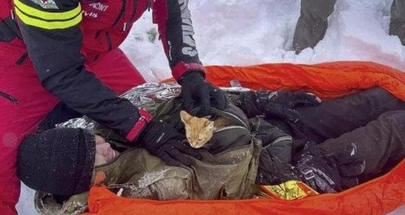 Duke ikur nga Ukraina e shkatërruar nga lufta, gazetari shpëton nga hipotermia falë maces së tij 23 Progetto senza titolo 2 16
