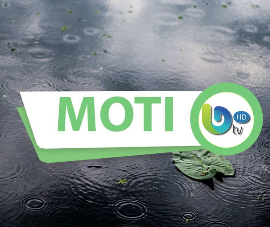 Progetto senza titolo 4