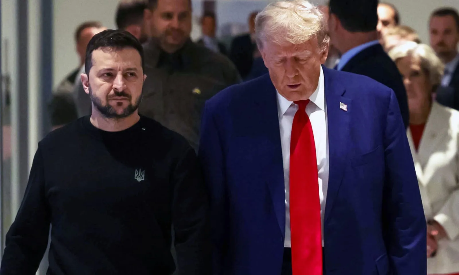 trump 6