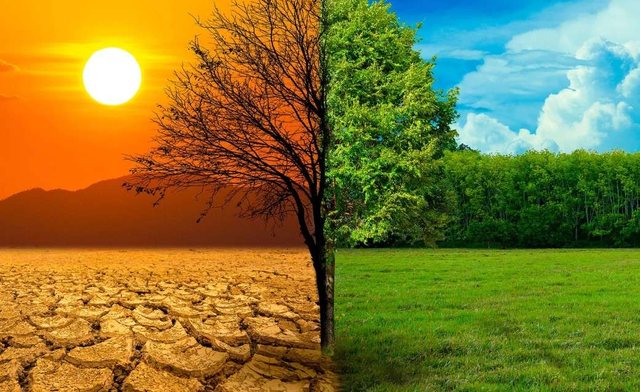 ALARMI nga ndryshimet klimatike! Viti 2024, kaloi kufirin e ngrohjes globale, ja sa gradë