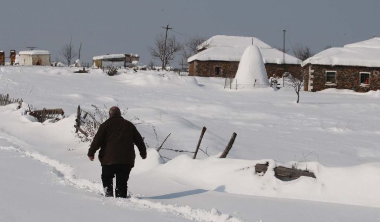 IMG 2810 752x440 1