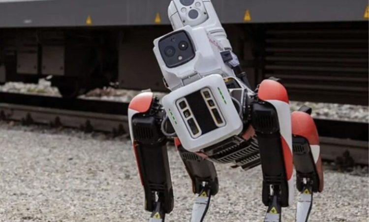 Gjermanët përdorin qen robot për të luftuar vandalizmin