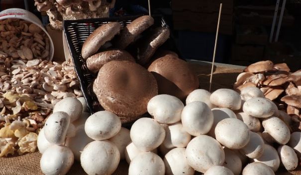 A janë kërpudhat të mira për ju? Vlerat ushqyese dhe përfitimet shëndetësore