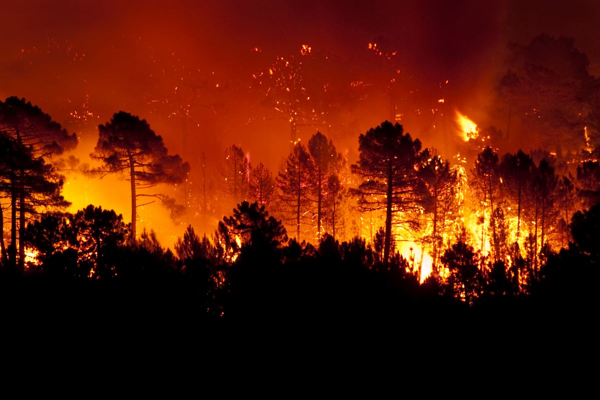 SH incendio bosco