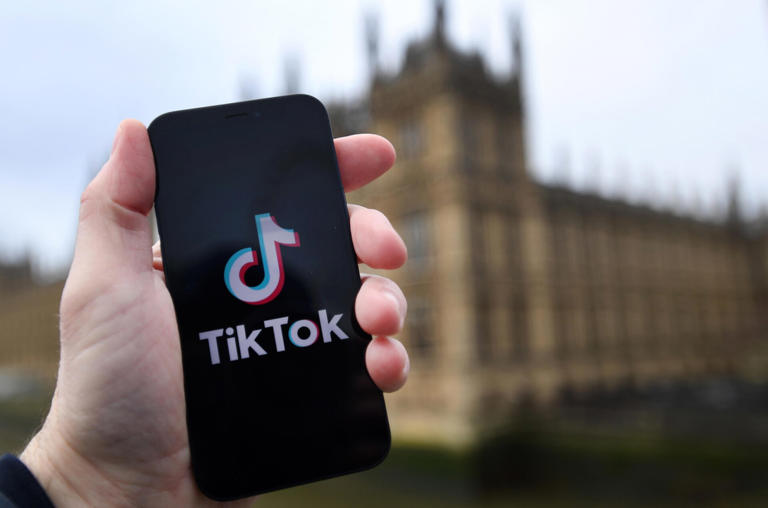 SHBA: Nga Blackstone në Amazon, elita e fuqisë ekonomike mobilizohet për TikTok