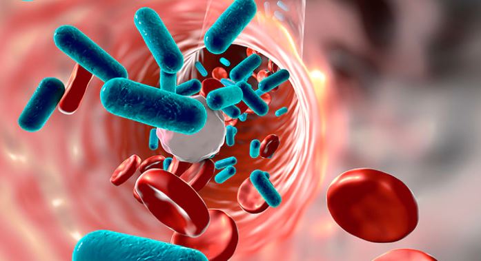 Sa duhet të zgjasë mjekimi me antibiotikë për infeksionet në gjak?