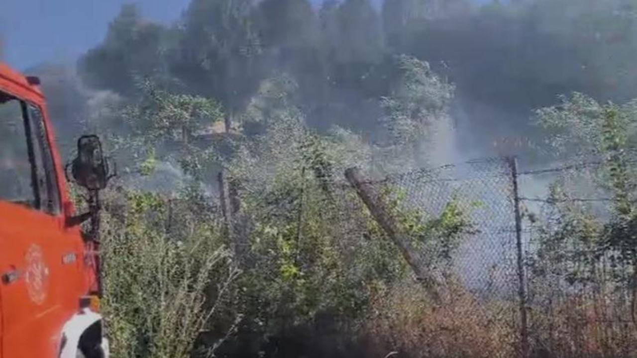 Zjarr i madh në Lazarat! Flakët rrezikojnë shtëpitë e banorëve 1 1748185813 zjarr sd
