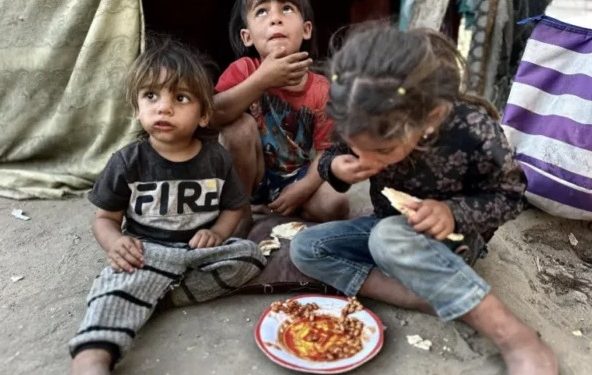 Në luftë për një tas ushqim/ Palestinezët vrapojnë të marrin vaktet nga ndihmat humanitare 13 96ab43a9 5b07 45dc 8386 7cfe4e4b1c0f 592x375 1