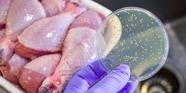 Ngarkesë mishi me salmonelë drejt Shqipërisë. Drejtori i AKU nuk ka besim tek laboratori i certifikuar nga institucioni i tij