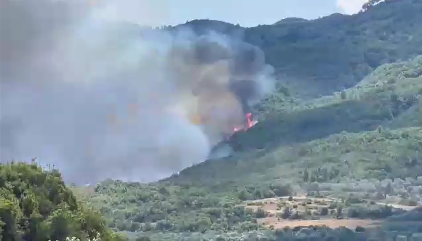 Video/Zjarr në Mbrakull, Poliçan – Shkrumbohet një sipërfaqe e madhe me pisha 19 21404a65468c627114f367e9b0e945f8 1