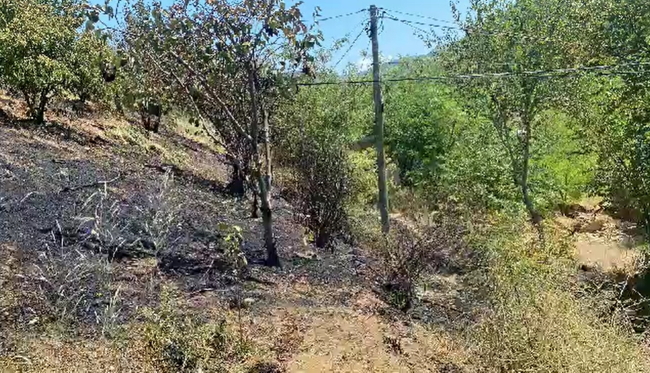 Berat : Zjarr në fshatin Virjon, Njësia Administrative Otllak – Situata paraqitet si në (VIDEO) 17 39584da62602ee8934edd2454ba10895