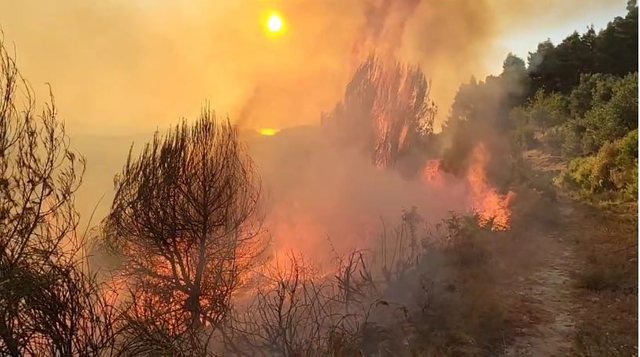 Zjarret përfshijnë disa qarqe të vendit, rrezikohen parqe kombëtare dhe banesa 3 640 0 1752429274xzjarr drenove 778 1