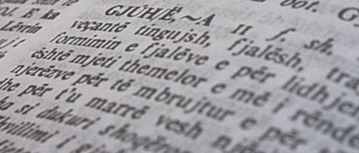 Ftesë maturantëve: Pse duhet të zgjidhni dhe shqipen për studime
