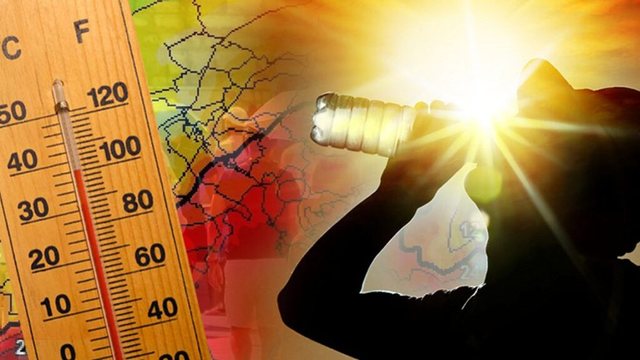 I nxehti përvëlues në Europë, 480 vdekje më shumë nga vapa se zakonisht gjatë sezonit të verës 12