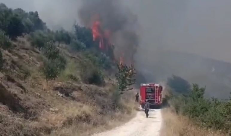 PAMJE/ Zjarr në Malas Breg, flakët rrezikojnë banesat! Tymi dhe temperaturat e larta favorizojnë përhapjen drejt kodrave me ullinj