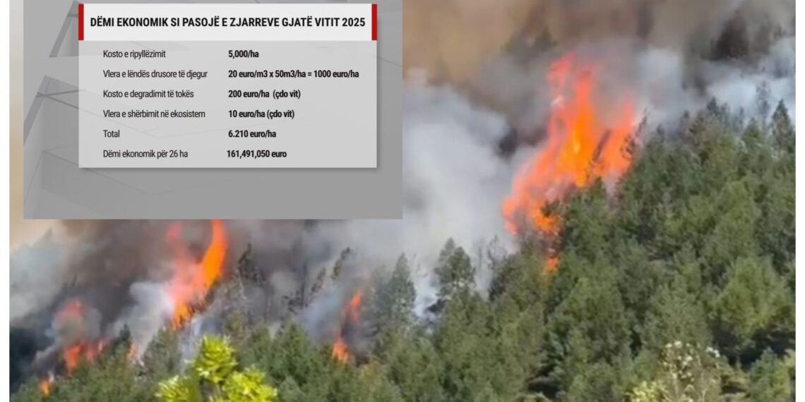 26 mijë hektarë të djegura, dëmi nga zjarret mbi 161 milionë euro 9 zjarre 1 1140x675 1 1140x570 1