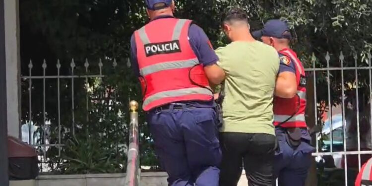 32 vjecari ne Divjake i vdekur nga thika Gjykata vendos ‘Arrest 750x375 1