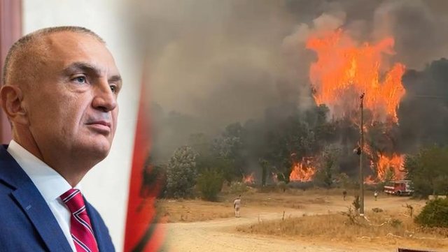 Ilir Meta ngre dyshimet nga burgu: Zjarri te Syri i Kaltër, për t’i hapur rrugë betonizimit të parkut?