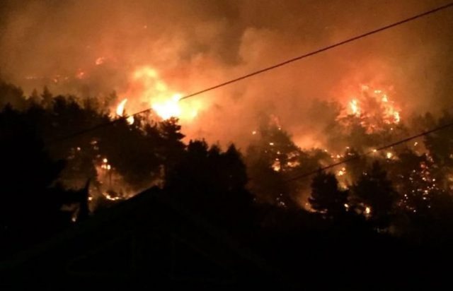 Situatë alarmante/ Zjarri rrezikon banesat dhe azilin e të moshuarve në Poliçan