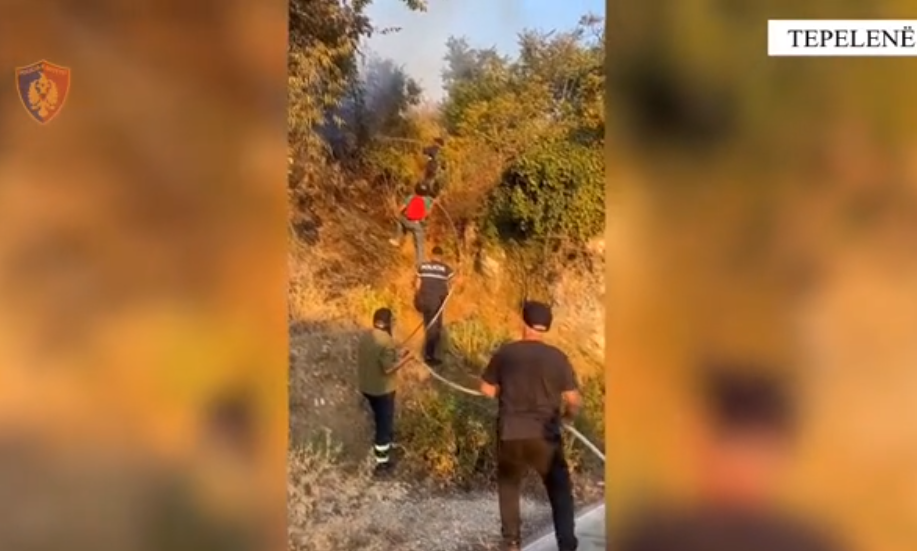 Zjarri i ndezur prej tij shkrumboi stane dhe pyje, arrestohet 40-vjeçari në Tepelenë