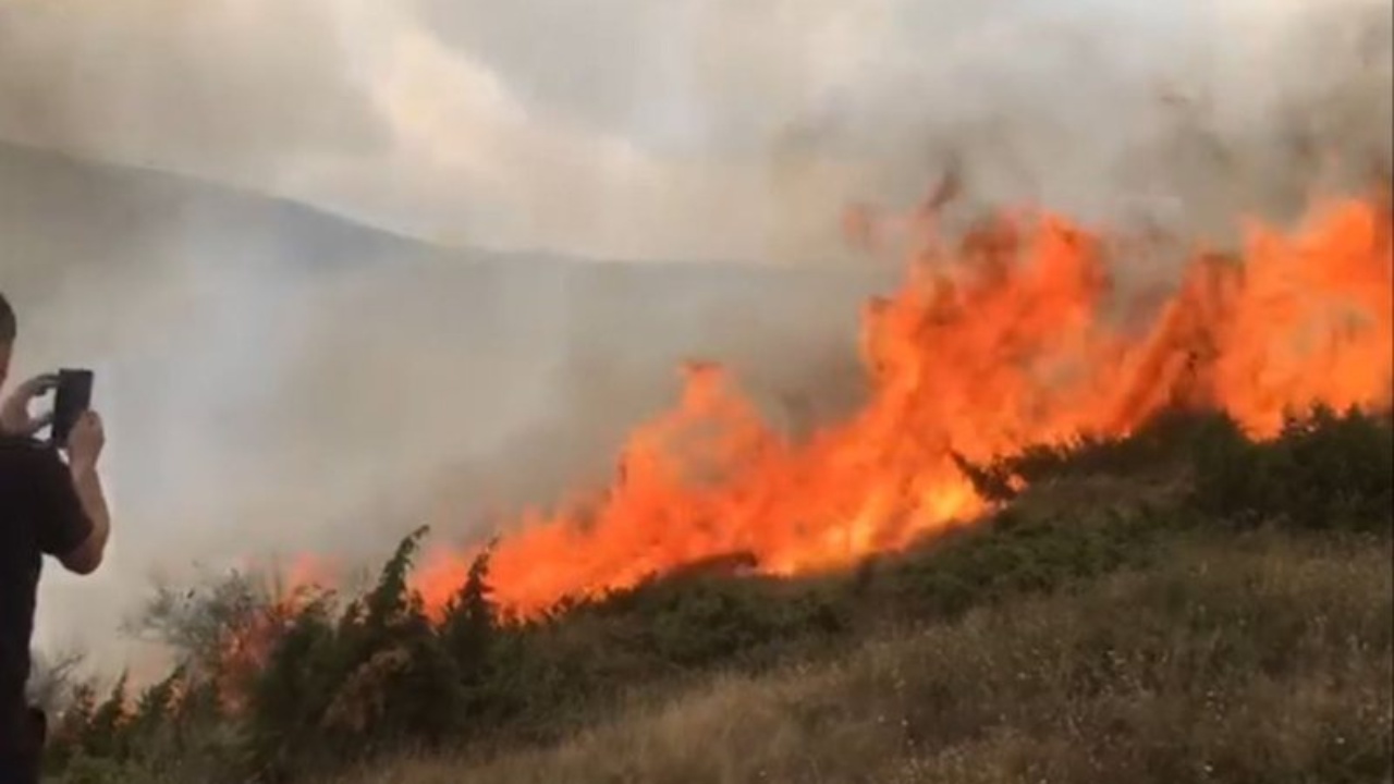 Zjarr në malin e Skërficës, rrezikohet pylli kombëtar i Pikësit 15 800 0 1725390328x1725389778 zjarrinekukes 704 sd