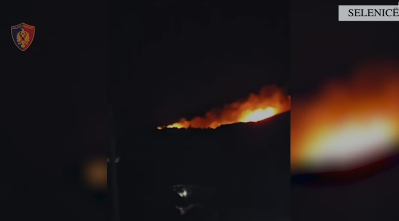 U konfliktua me fqinjin dhe dogji sipërfaqen me ullinj, pranga 43-vjeçarit në Selenicë