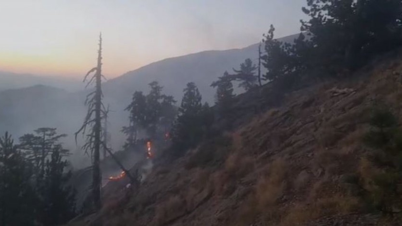 Vatra të reja zjarri në Kolonjë, rrezikohet Parku Natyror i Gërmenjit 15 Hq1Zy8LD hghfg sd 1