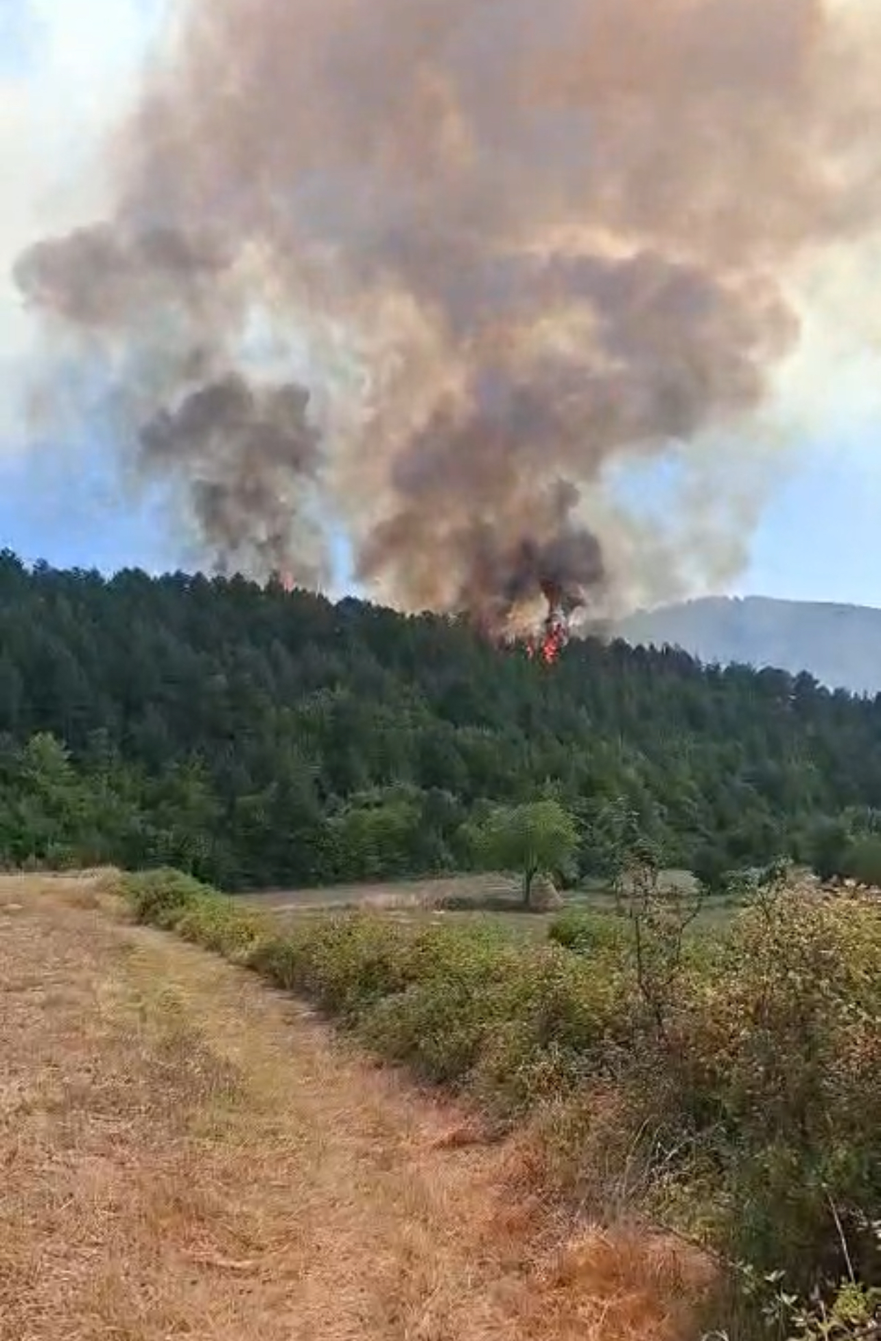 Zjarr masiv në Gramsh, flakët rrezikojnë fshatin Snosëm, banorët kërkojnë ndërhyrje urgjente