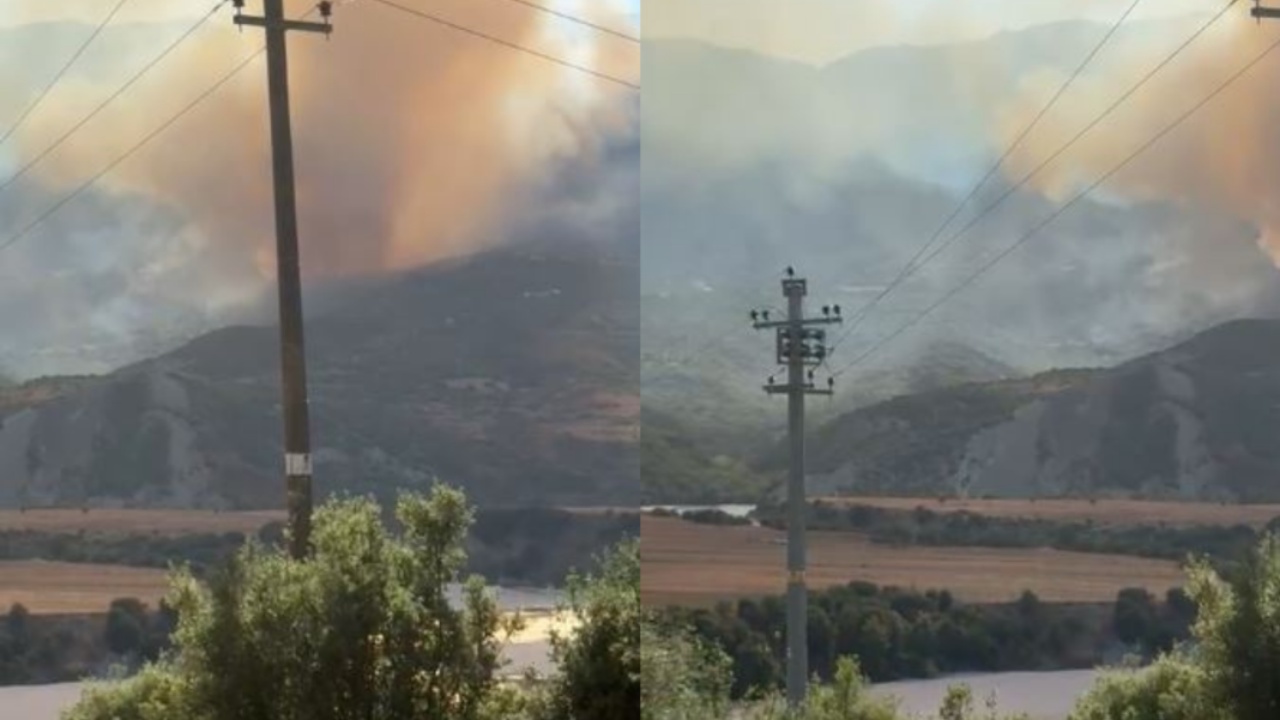 Rëndohet situata në Lapardha të Selenicës! Zjarri merr përmasa të mëdha, kërkohet ndërhyrje nga ajri 5 cfghfg sd 1