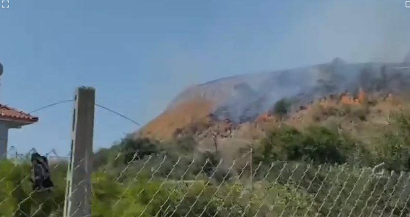 Fier/Flakët përfshijnë ullishta në Sejmenas, situata nën kontroll pas dy orësh përpjekje