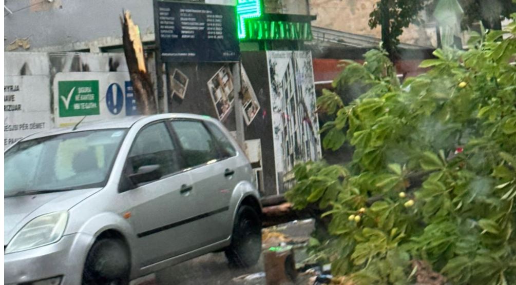 Stuhi e reshje shiu në gjithë vendin! Rrëzohen pemë në Tiranë
