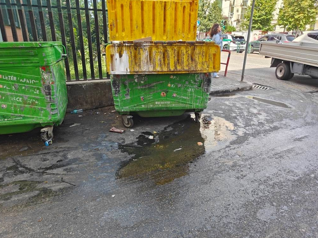 Masakër mjedisore në mes të Tiranës, restorantet hedhin vaj kancerogjen në kazanët e plehrave! 10 640 0 screenshot 2025 09 12 191024 1757697053 1