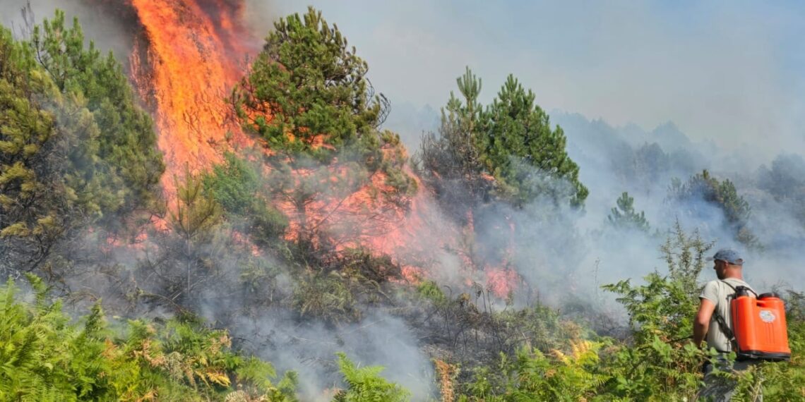 Zjarri shkaterroi disa fshatra ne Gramsh bashkise i jepet nje 1140x570 1