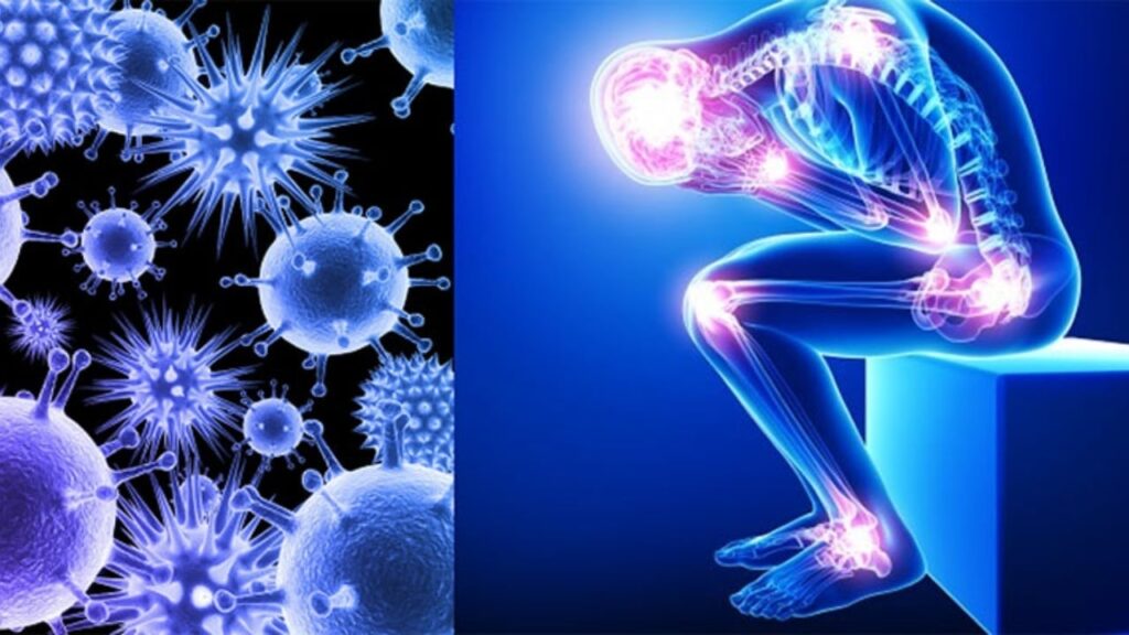 autoimmune diseases 1 sd sd 1024x576 1